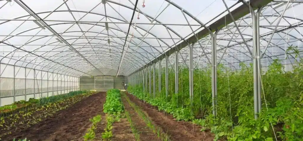 Seo settore agritech 1536x717